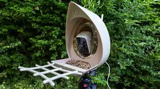 Head-to-Head: Fujifilm Instax Mini 41 vs Peckperk Smart Bird Feeder Camera (Detailed Comparison)